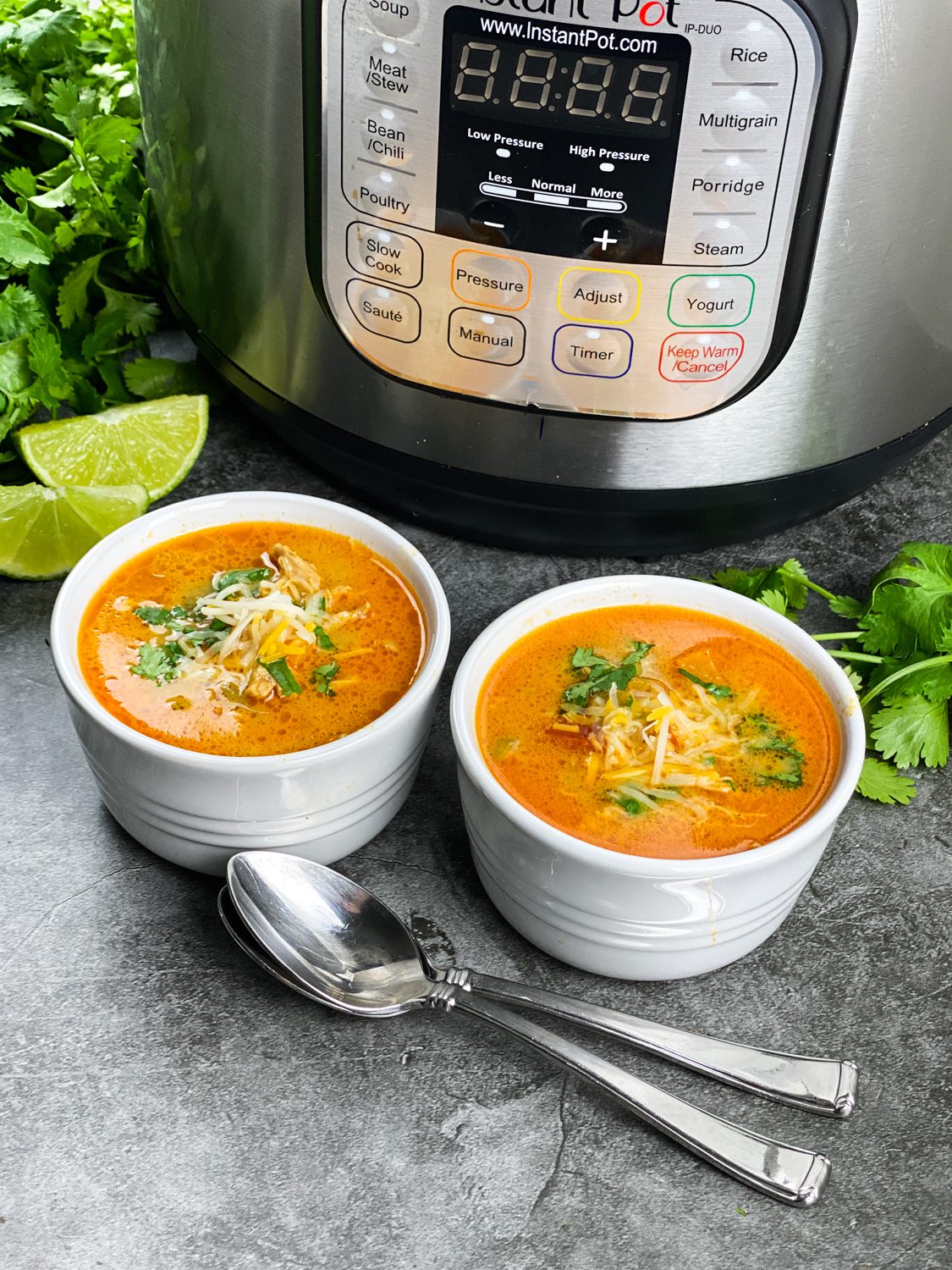 Instant pot Chicken Enchilada soup